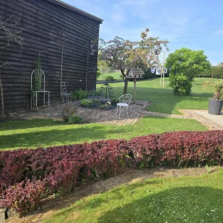 Le P'tit Bourquin * Bourg-Fidele